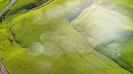 Sticker - Aerial view of colourful New Zealand Countryside in spring season