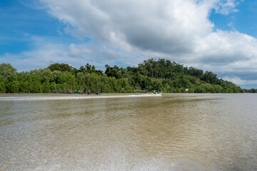 Wall Mural - Excursions by boat to Bako National Park. The park with its rich biodiversity is only accessible via the Tabo River and from the mouth via the open sea.