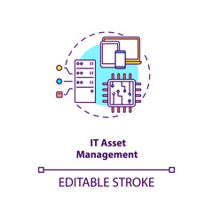Wall Mural - it asset management concept icon. am type idea thin line illustration. hardware, software systems. o