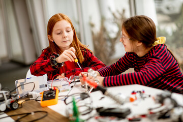 Wall Mural - Cute little girls programming electric toys and robots at robotics classroom