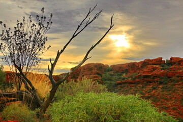 Canvas Print - Kings Canyon in the red centre of Australia