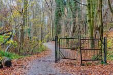 Abandoned Wrought Iron Black Gate In The Forest Next To A Path Between Bare Autumn Trees And Climbing Plants, Ground Covered With Autumn Leaves, Cloudy Day In Sweikhuizen, South Limburg, Netherlands