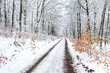 winter road in the snowy forest 