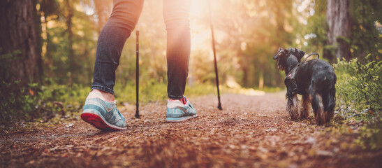 Wall Mural - Young woman hiking and going camping in nature. Person with a dog walking and running in the forest