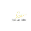 © sa - Gz handwritten logo for identity