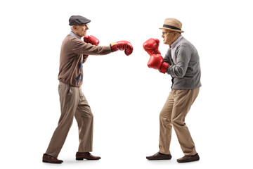 Poster - Full length profile shot of two elderly man fighting with boxing gloves