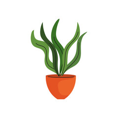 Canvas Print - house plant in ceramic pot orange color icon vector illustration design