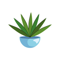 Canvas Print - house plant in ceramic pot blue color icon vector illustration design