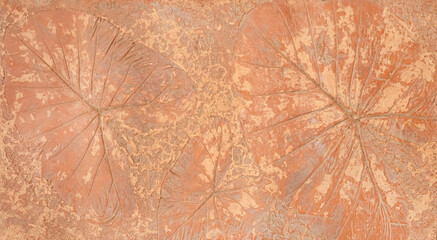 Wall Mural - Leaves print or leaves stamp on concrete cement texture background