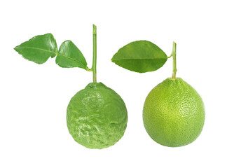 Wall Mural - Green Lime and Bergamot isolated on white background with clipping path.