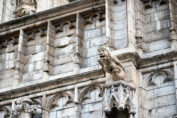 Gargoyle figure on medieval Town Hall in Brussels, Belgium