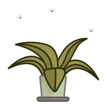Brown Withered Potted Plant With Flies. Aloe Vera, Vector Isolated.