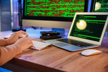 Female programmer working in office