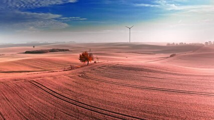 Wall Mural - Wind turbine and brown field in autumn, sunrise aerial view