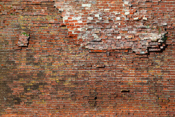 Canvas Print - Brick wall. Background texture of a brick