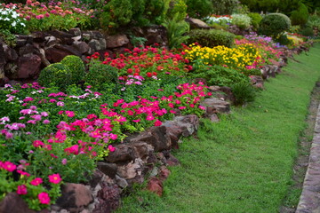 Wall Mural - flowers in the garden