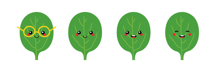 Wall Mural - Set, collection of cute and smiling cartoon style green spinach leaves characters for healthy food design.