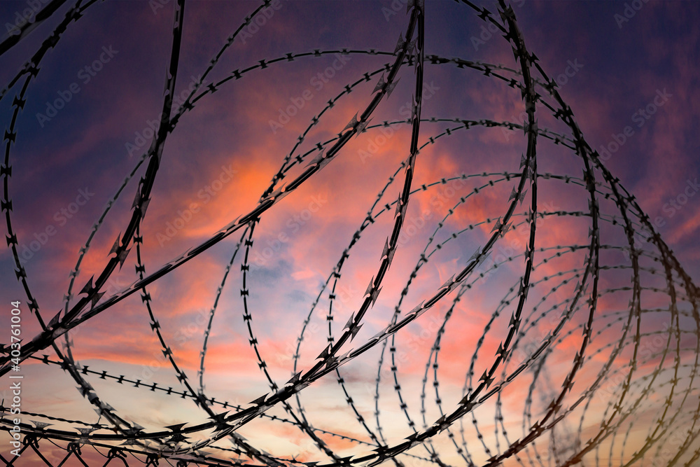 Silhouette of a barbed wire fence steel jail - obrazy, fototapety, plakaty 