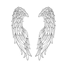 Hand Drawn Angel Wings. Valentines Day Banner, Placard, Postcard Design Template. Fashion Print Vector.clip Art Illustration. 