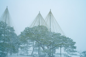 Wall Mural - Great snow day in Kanazawa, 2021.