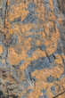 © Diogo Oliveira - Extreme macro close up of surface Rock pattern. Stone texture and background. Rock Abstract Background