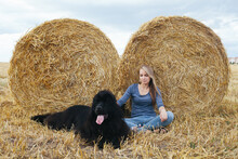 Breed Of Dog Newfoundland Mistress Of The Dog Newfoundland. A Woman And Her Big Black Dog. A Woman And A Dog In A Field.