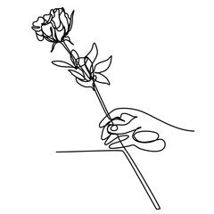 Wall Mural - Continuous line Hand holds rose flower. Single line modern minimalistic style. Sketch for Valentine's Day, Romantic collection, print, wedding, invitation, etc. Vector illustration.