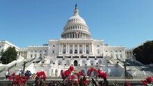 West Front Of The United States Capitol In Washington DC, USA With Blue Sky And Red Flowers - Camera Move Up And Down