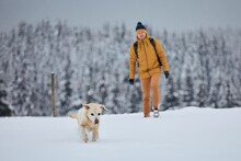 Young Man With Dog In Winter Nature. Labrador Retriever Running In Snow Against Forest. Jizera Mountains, Czech Republic