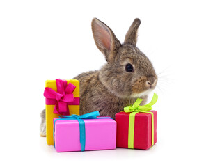 One brown rabbit with gifts.