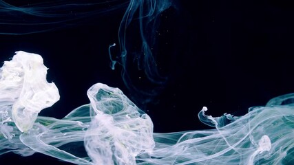 Wall Mural - Color Liquid in dynamic flow.