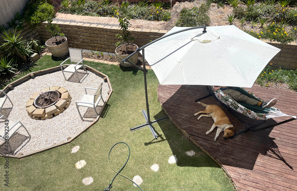 Average Australian back yard with umbrella fire pit deck relaxing dog hot summer day - obrazy, fototapety, plakaty 