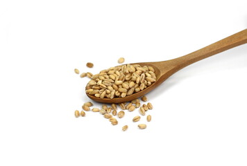 Wall Mural - wheat grains in a wooden spoon isolated on white background. 