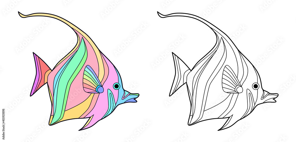 Angelfish coloring page. Vector illustration. Stock Vector | Adobe Stock
