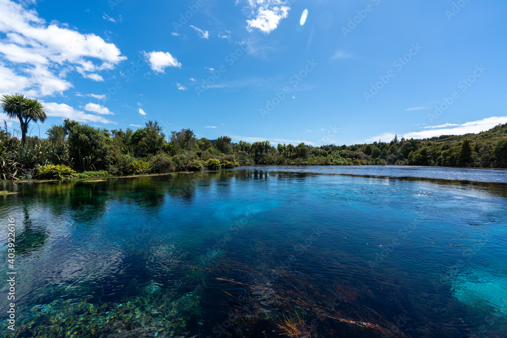 Pupu Pool Te Waikoropupu Springs and clear blue pools in New Zealand also known ...