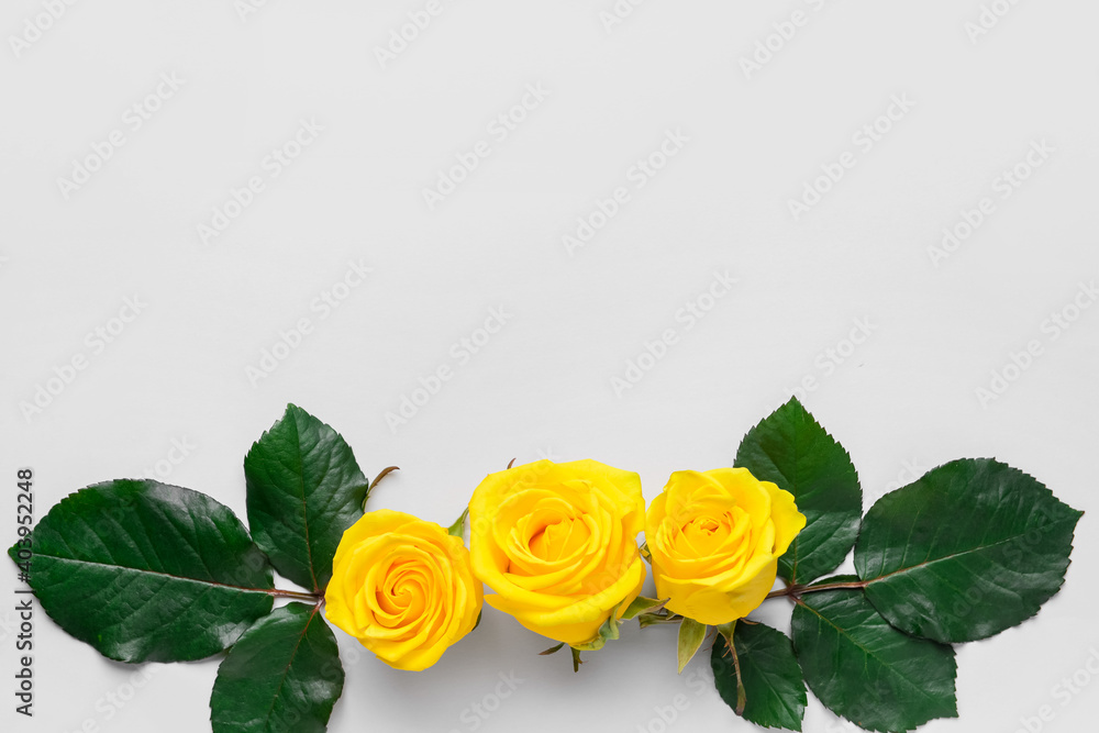 Composition with beautiful yellow roses on light background