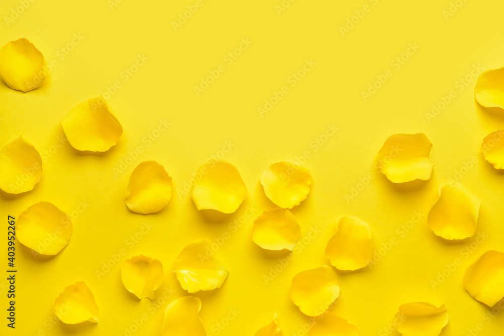 Beautiful yellow rose petals on color background