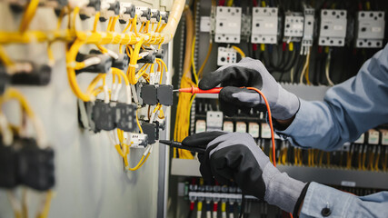 Wall Mural - Electrical engineers test electrical installations and wiring on protective relays, measuring them with a multimeter.