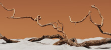 Minimal Background For Summer Concept. Dry Tree Twigs And White Sand Beach On Brown Background. 3d Rendering Illustration. Clipping Path Of Each Element Included.