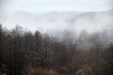 Naklejka na meble the fog descends downstream through the woods of the mountains