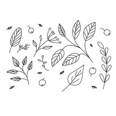 Autumn leaves set, illustration, design. Outline drawing. Simple cartoon flat style, linear sketch. Black contour.