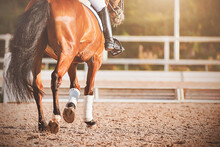 A Bay Horse With A Long Dark Tail Walks Through An Outdoor Arena At A Dressage Competition, Illuminated By Sunlight. Horse Riding. Equestrian Sports. Hooves.
