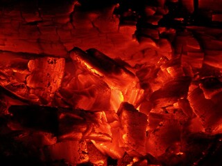 close up of fire wood