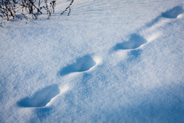 Wall Mural - footprints on snow