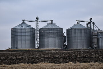 Wall Mural - Grain Bins