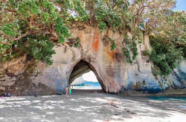 Wall Mural - Cathedral Cove, beautiful beach with trees growing on rocks in New Zealand