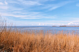 Fototapeta Paryż - Flock of gulls on Ijsselmeer