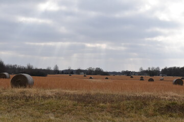 Sticker - Hay Field