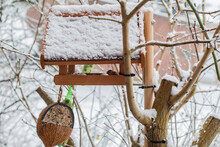 Snow Covered Birdhouse On Bare Tree