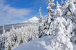 Mount Hood Winter Scene
